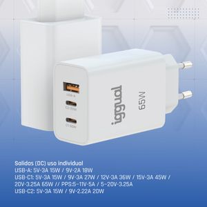 IGG320501-Galeria-6