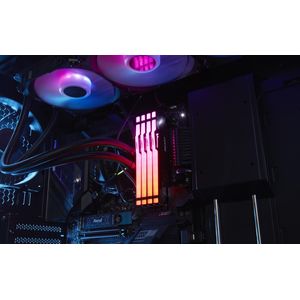 KF560C36BBEAK2-64-Galeria-10