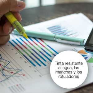 C13T16234012-Galeria-5