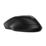 RATON-HP-DUAL-255-DUAL-INALAMBRICO