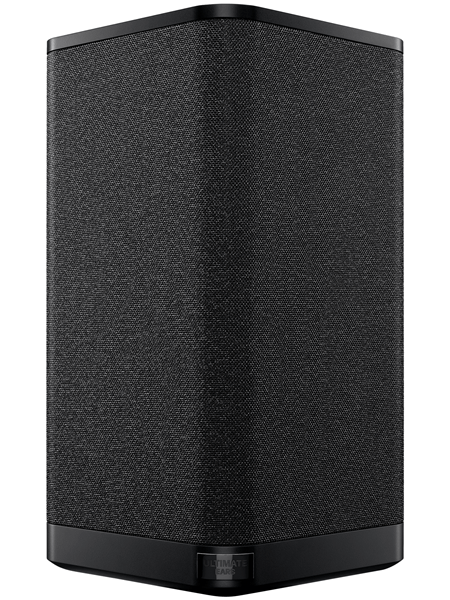 Ultimate Ears HYPERBOOM-BK-PLUG