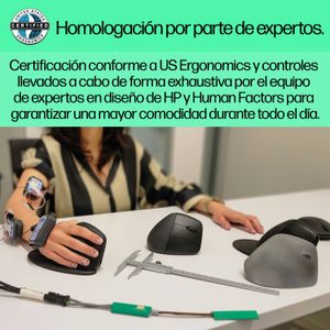 6H1A4AA-Galeria-6