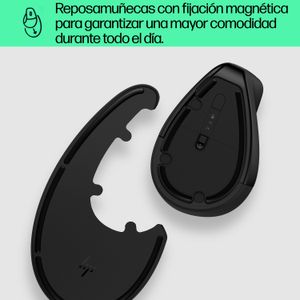 6H1A4AA-Galeria-8