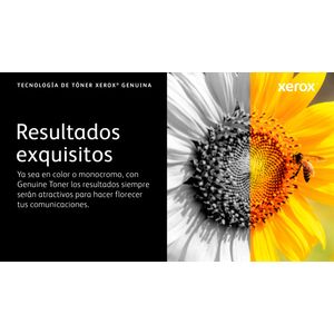 006R04823-Galeria-9