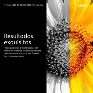 106R02311-Galeria-7