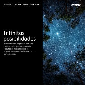106R03517-Galeria-2