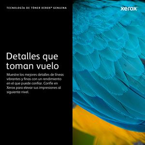 106R04347-Galeria-3