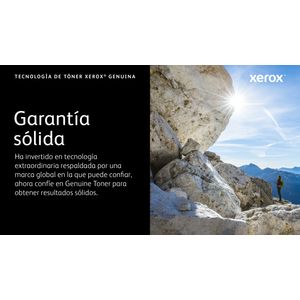 006R04391-Galeria-8