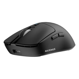 MAXIMUS-B-Galeria-4