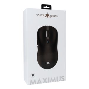 MAXIMUS-B-Galeria-6