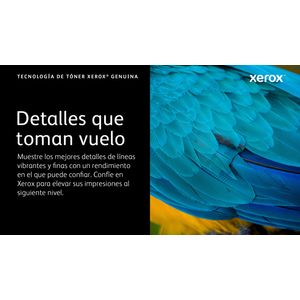 006R04376-Galeria-5