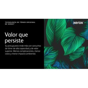 006R04358-Galeria-2
