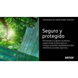 006R04359-Galeria-11