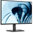 MONITOR-DELL-P2426--Pro-P-24.1--IPS-1920-x-1200-HDMI