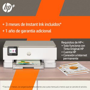 242P6B-Galeria-7