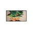 PHILIPS-Signage-Solutions-32--ADS-ADS-Full-HD-HDMI-Altavoces