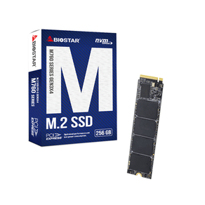 BIOSTAR--M760--SSD-256GB-M.2--3200MB-s-PCI-Express-4.0-NVMe