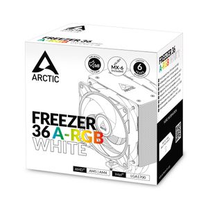 ACFRE00125A-Galeria-9