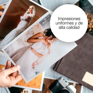 C13T18014022-Galeria-2