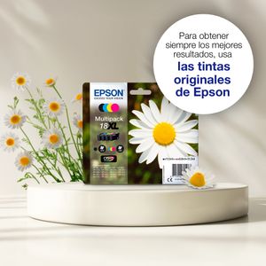 C13T18014022-Galeria-6