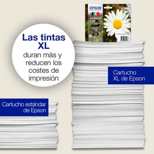 C13T18014022-Galeria-7