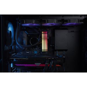 KF560C36BBEA-8-Galeria-7