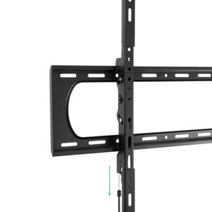 LP37140T-B-Galeria-3