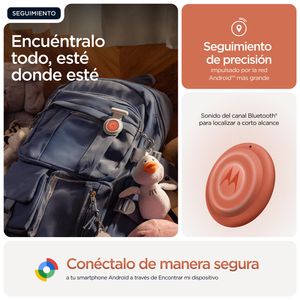 PG38C08027-Galeria-13