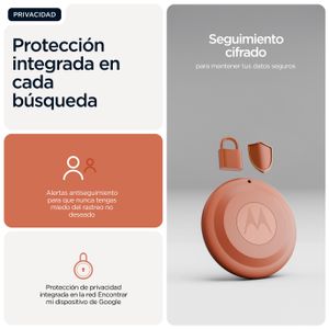 PG38C08027-Galeria-16