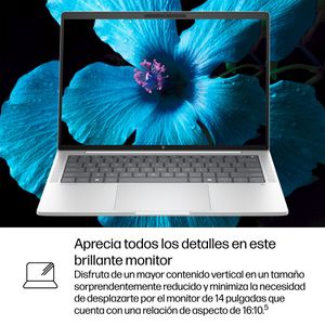 B68ZZET-Galeria-10