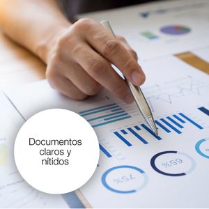 C13T16264012-Galeria-4
