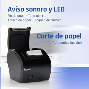 IGG316641-Galeria-9