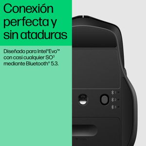 8T6M3AA-Galeria-5