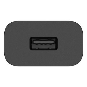 ZG38C07909-Galeria-2