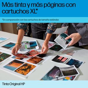 498N4A-Galeria-2
