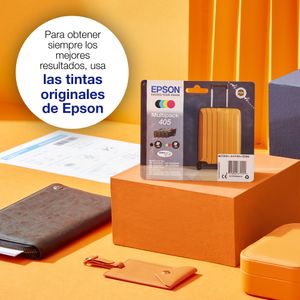 C13T05G64010-Galeria-2