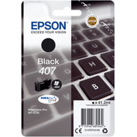 Miniatura 1 de CONSUMIBLE EPSON NEGRO 407