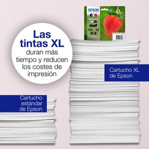 C13T29914022-Galeria-4