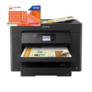 C11CH68403-Galeria-2