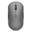 MICE_BO-700-MULTI-WL-S-MOUSE-GREY