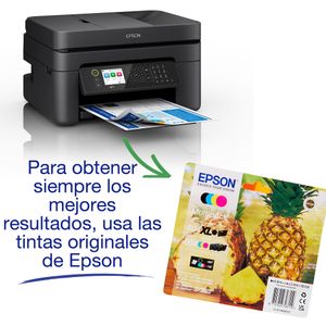 C11CK62402-Galeria-10