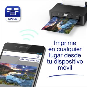 C11CG43402-Galeria-12