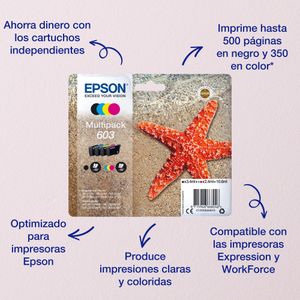C13T03U44010-Galeria-2