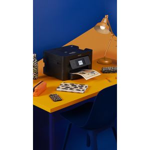 C11CJ07403-Galeria-3