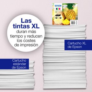 C13T10G64010-Galeria-5