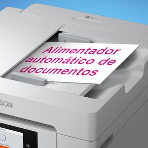 C11CJ28405-Galeria-6