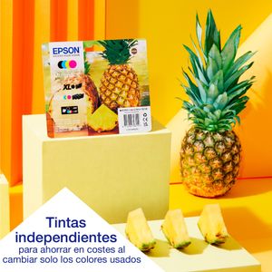 C11CK64402-Galeria-11