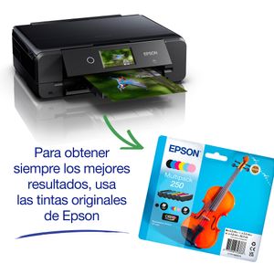 C11CL95402-Galeria-7