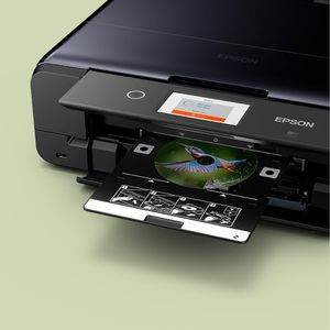 C11CL95402-Galeria-10