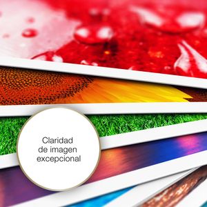 C13S042154-Galeria-7